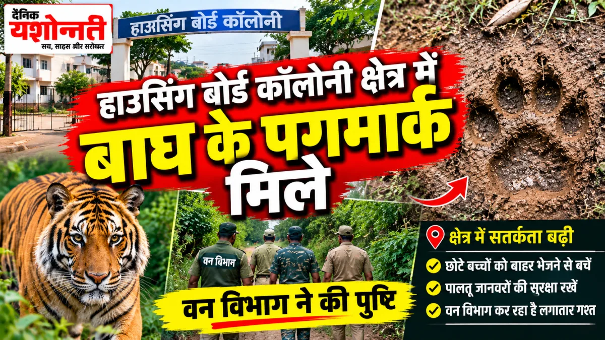 शहरी क्षेत्र में बाघ की मौजूदगी से बढ़ी चिंता, हाउसिंग बोर्ड कॉलोनी में मिले पगमार्क