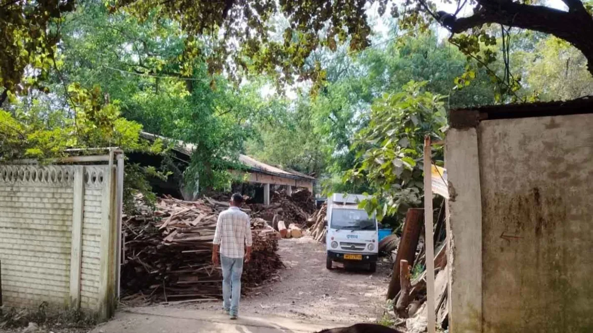 मंडला में टिम्बर कारोबारियों पर आयकर विभाग की बड़ी कार्रवाई, निरंजन अग्रवाल और विकास गोहिल के प्रतिष्ठानों पर जांच