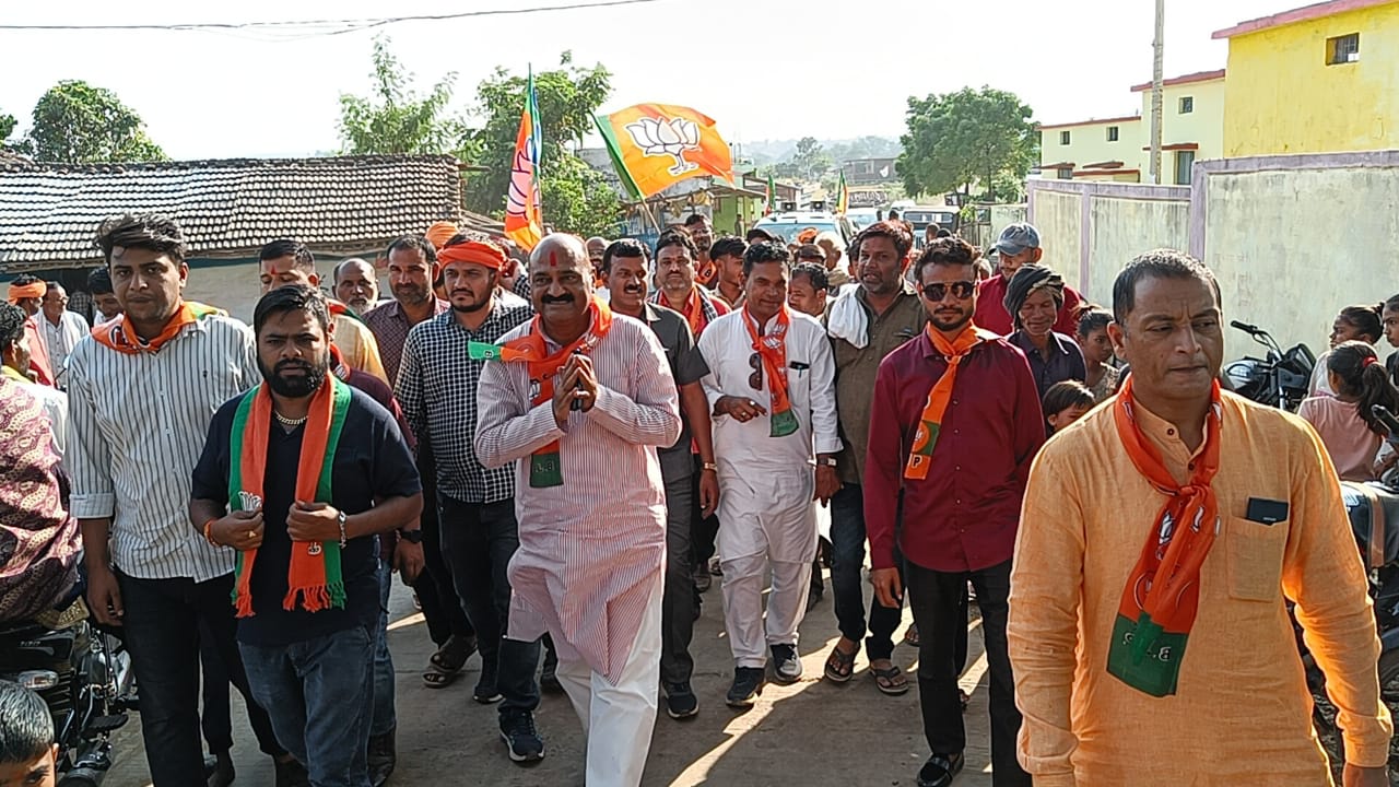 भाजपा प्रत्याशी राकेश पाल सिंह ने छपारा मंडल के ग्रामों में किया चुनावी जनसंपर्क