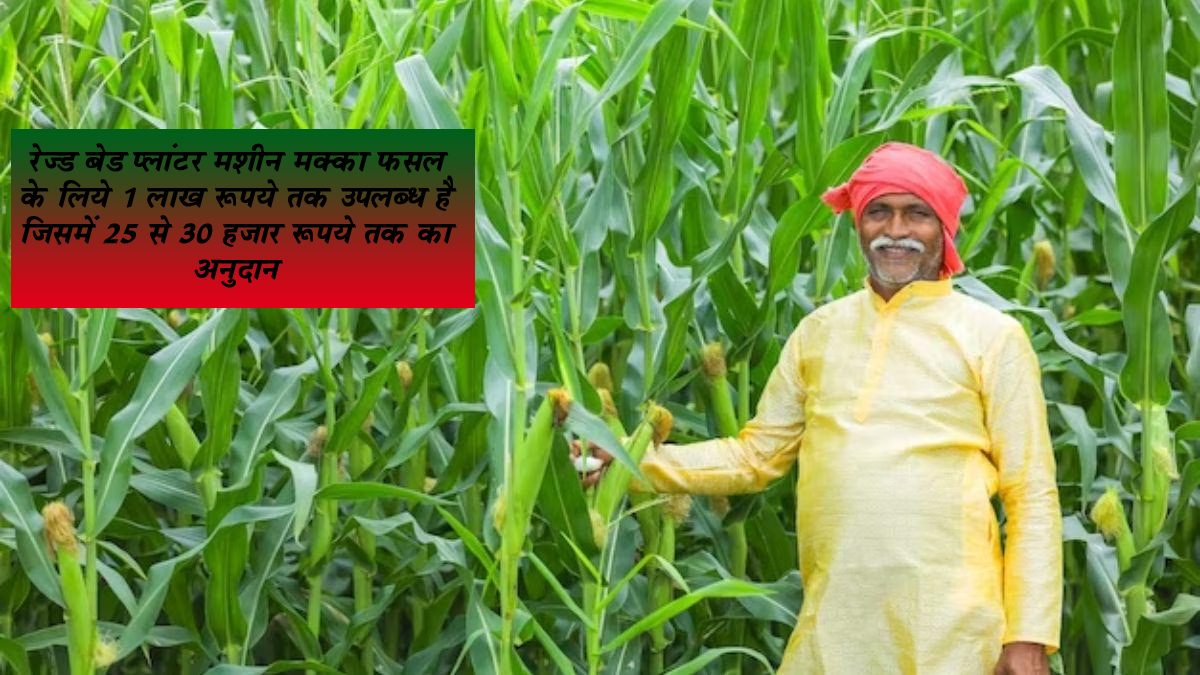 मक्का के लिये यह विधि वरदान, और सरकार से अनुदान भी