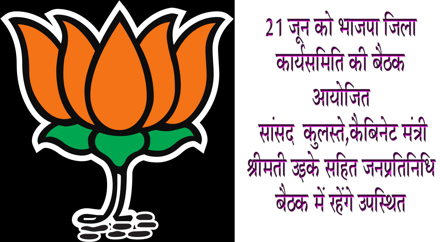 21 जून को भाजपा जिला कार्यसमिति की बैठक आयोजित