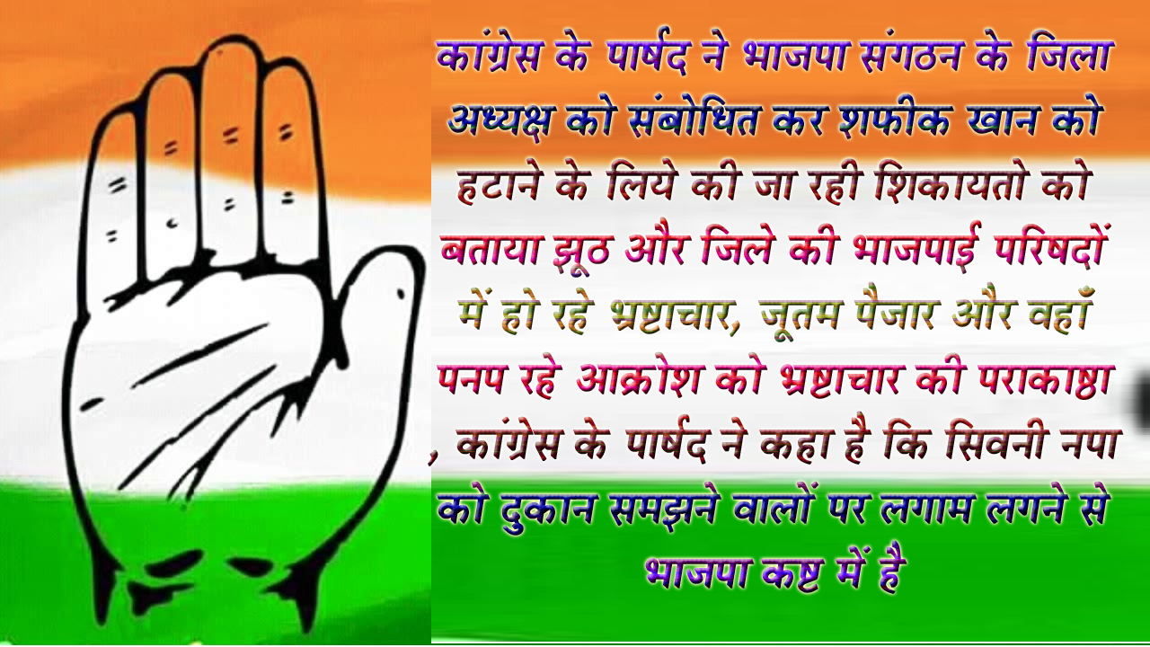 भ्रष्टाचार, जूतम पैजार, भाजपाई परिषदों का दिखाई नहीं देता भाजपा को - जोऐब