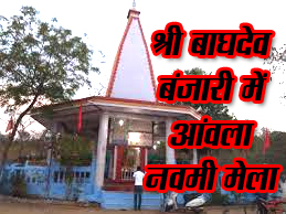 श्री बाघदेव बंजारी में आंवला नवमी मेला