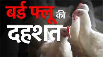 चिकन शॉप और बैकयार्ड पॉल्ट्री फार्म अगले आदेश तक बंद, जारी हुये आदेश