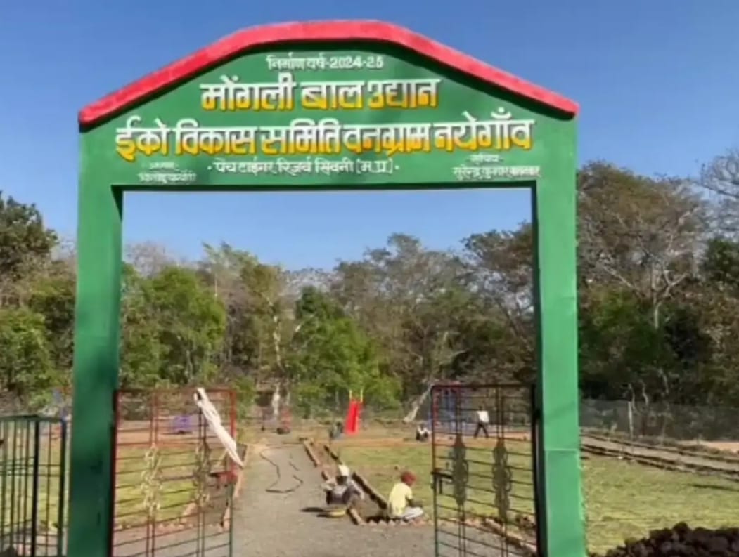 एक गाँव ऐसा जहां नेटवर्क और रोजगार के लिये लोगाों को गाँव से बाहर जाना पड़ता है