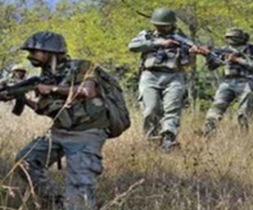 मंडला में हॉक फोर्स  की नक्सलियों से मुठभेड एक नक्सली ढेर