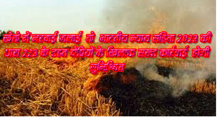 कलेक्टर ने जारी किया आदेश, खेतों में नरवाई जलाने पर होगी दंडात्मक कार्यवाही