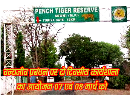 पेंच टाइगर रिजर्व में वन्यजीव प्रबंधन पर कार्यशाला, राष्ट्रीय विशेषज्ञ होंगे शामिल