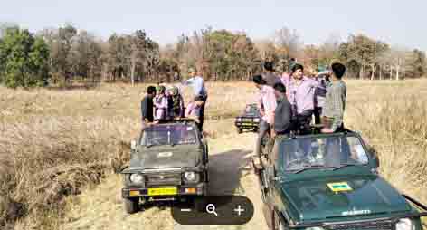 विद्यार्थियों ने पेंच पार्क में देखे शेर