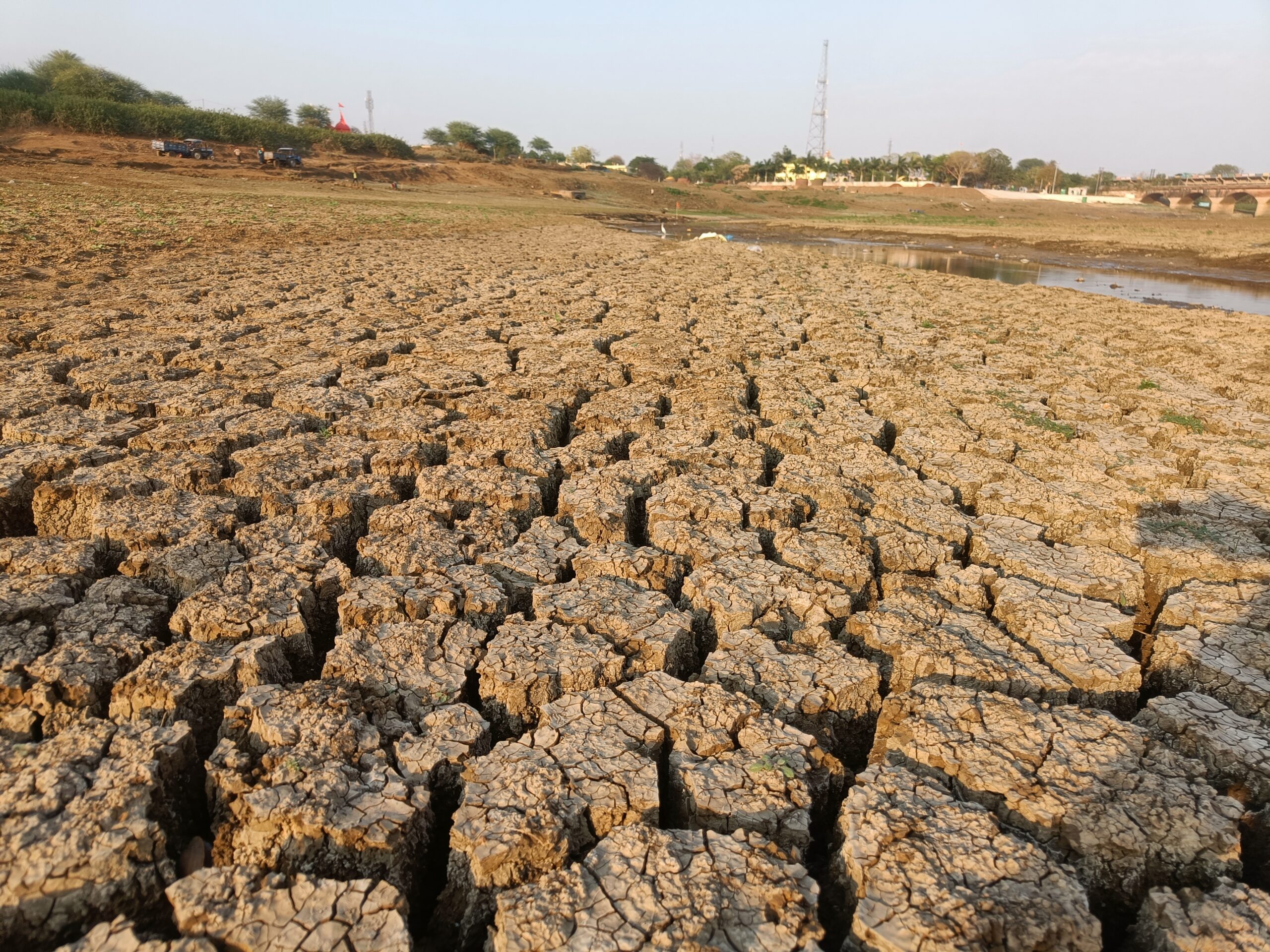 कलेक्टर के आदेश पर भारी है भ्रष्ट अधिकारी, चल रही है सौ से अधिक मोटरें