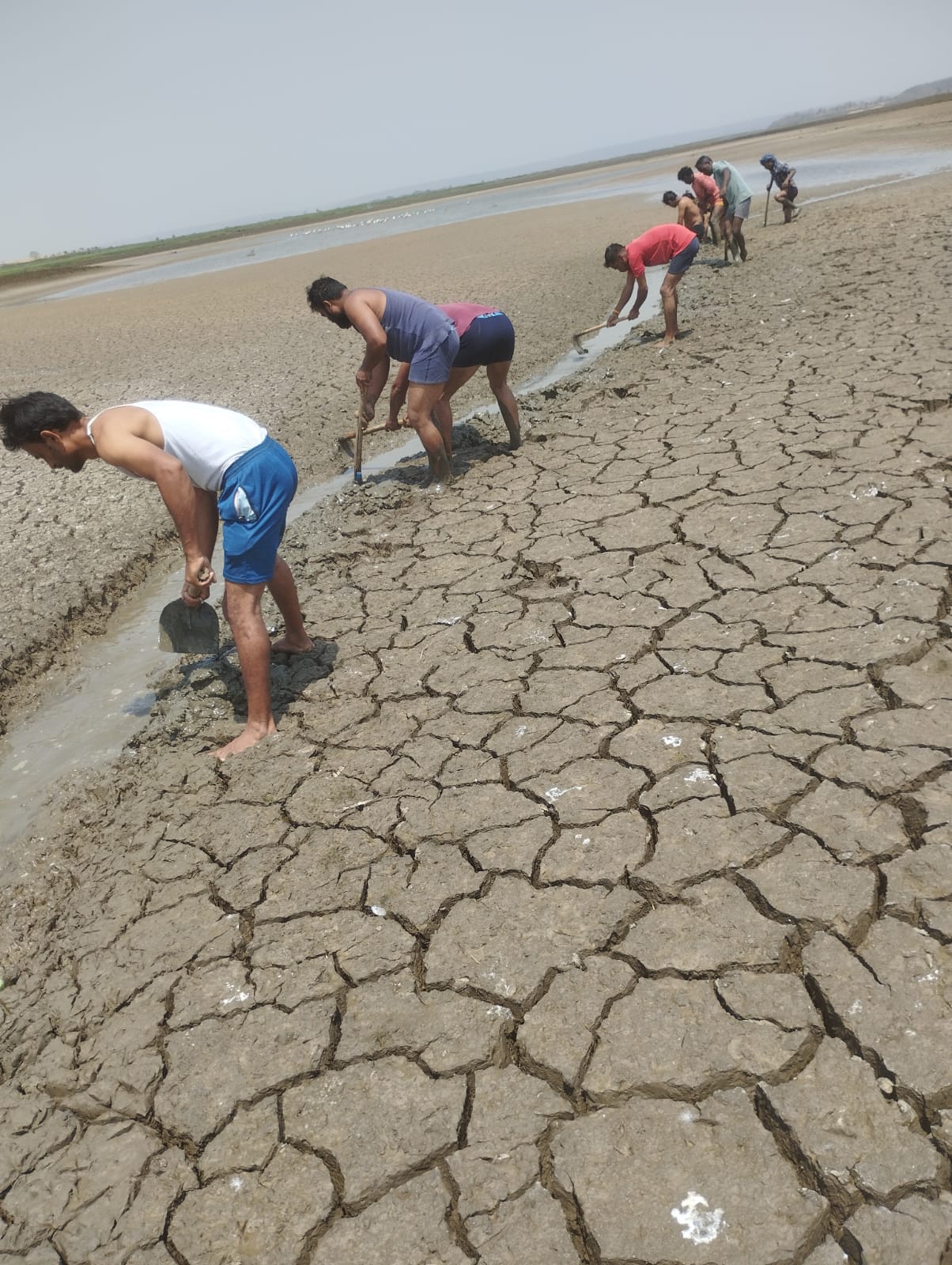 पेयजल संकट के लिये जिम्मेदार को पाँच साल की सजा, यह प्रावधान है