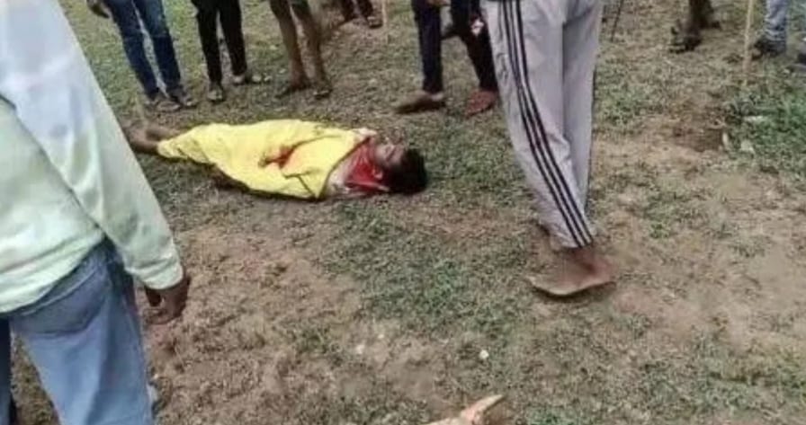 शेर बना काल : घर से युवक को ले गया उठाकर