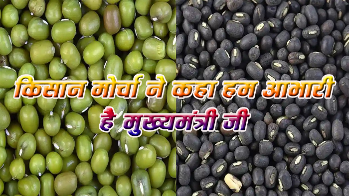 सरकार खरीदेगी मूंग 8682 और उड़द 7400 प्रति क्विंटल पर, किसान मोर्चा ने जताया आभार