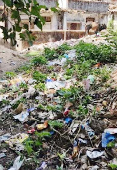 वार्ड नंबर 15 में नहीं होती सफाई