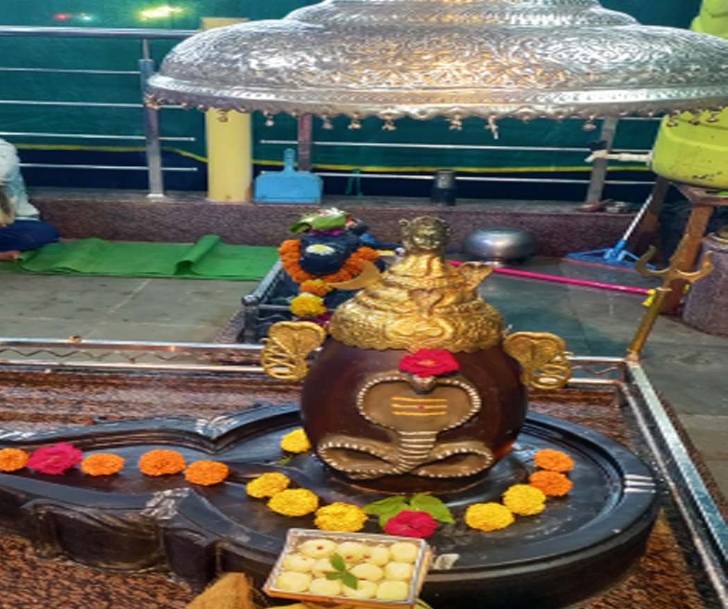 श्री नर्मदेश्वर महादेव मंदिर द्वितीय वार्षिक पाटोत्सव
