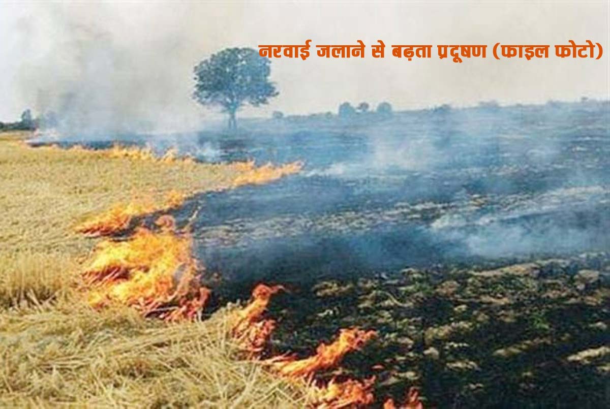 नरवाई जलाने पर प्रतिबंध, उल्लंघन पर लगेगा जुर्माना