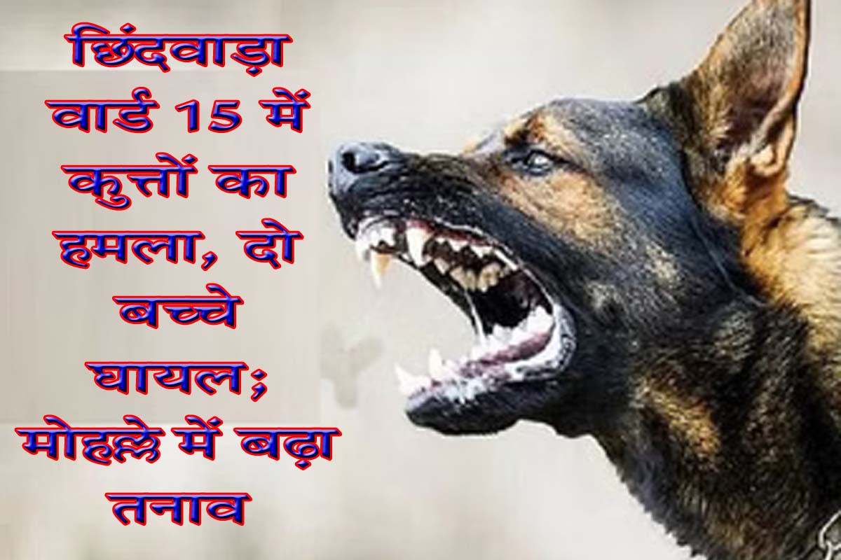 वार्ड नंबर 15 में कुत्तों के हमले से दो बच्चे घायल, मोहल्ले में बढ़ा तनाव