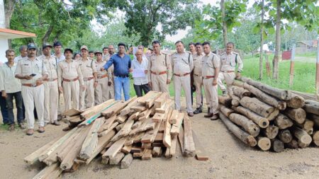 वन माफिया के यहाँ छापामार कार्यवाही, बड़ी मात्रा मिली चिरान और लठ्ठे धारनाकला यशो:- वन विकाश निगम बेहरई के रेंजर एस के जंभारे ने अपने स्टाप के साथ छापामार कार्य वाही मे भारी तादाद मे इमारती लकडी सागौन के लटठे एवं चिरान जप्त करने मे सफलता प्राप्त की है प्राप्त जानकारी के अनुसार वन परिक्षेत्र अधिकारी एस के जभारे ने सर्च वारंट के साथ गागंपुर निवासी गजानंद पिता भादू पवार के यहाँ छापामार कार्यवाही कर 29 नग सागौन के लटठे 13 नग बल्ली के साथ साथ घर के अन्दर से भारी मात्रा 144 नग चिरान जप्त करने की प्रभावी कार्यवाही की है । वन विभाग द्वारा गांगपुर में की अवैध रूप से इमारती लकड़ी का कारोबार करने वाले के विरूद्ध की गयी ताबड़तोड़ कार्यवाही से क्षेत्र के वनमाफियाओं में खलबली मची हुई । उल्लेखनीय है की लम्बे अर्से से गांव के समीप ही लगे जंगल से इमारती लकडी की अवैध कटाई जोरो पर होने से परेशान वनपरिक्षेत्र अधिकारी वन तस्करों की तलाश में जुटे हुये थे । वन परिक्षेत्र अधिकारी को सूत्रों से पुख्ता जानकारी मिलने पर उन्होंने कार्यवाही का सर्च वारंट लेकर गंागपुर में संबंधित तस्कर के घर अपनी टीम के साथ धावा बोला जहाँ बड़ी मात्रा में इमारती लकड़ी के लठ्ठे और चिरान प्राप्त हुई वन अधिकारी जप्ती की कार्यवाही कर वन अधिनियम के तहत मामला पंजीबद्ध किया है । सर्च वारंट के साथ की गई कार्रवाई मे बरघाट रेंजर के साथ सहायक परिक्षेत्र अधिकारी आर पी जरगे वन रक्षक देवेन्द्र गामोञा, व्ही के मर्सकोले प्रदीप बघेल, गणेश मानेश्वर, स्वाती अग्रवाल दीप्ती राहगडाले, पाडियाछपारा रेंजर एस एल दहिया केवलारी रेंज से चन्द्र वती परते तथा सुरक्षा श्रमिको के साथ बरघाट थाने से पुलिस बल की उपस्थिती मे ठोस कार्रवाई की गई है । वन विभाग द्वार की गयी कार्यवाही से क्षेत्र में अच्छी प्रतिक्रिया मिल रही है ।