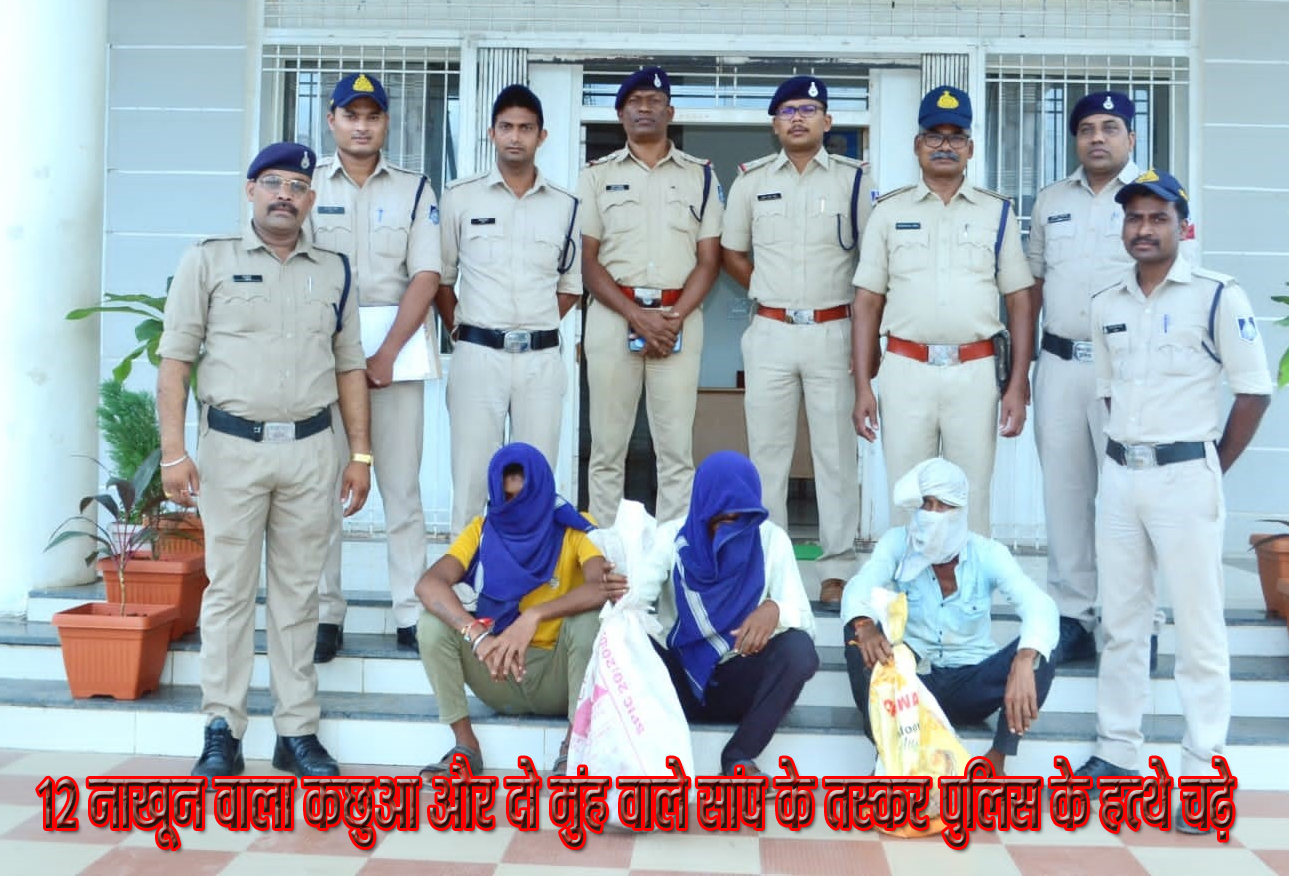 12 नाखून वाला कछुआ और दो मुंह वाले सांप के तस्कर पुलिस के हत्थे चढ़े अंतरराज्यीय नाके बडचिचोली चौकी में चेकिंग के दौरान पकड़े गये छिंदवाड़ा यशो:- काटोल के जंगल से 12 नाखून वाला कछुआ और दो मुंह वाल सांप पकड़कर बेचने ले जा रहे तस्कर पांढुर्णा तहसील की अंतरराज्यीय नाके बड़चिचोली चौकी पुलिस टीम ने काटोल नाके पर चेकिंंग के दौरान पकड़ लिया । प्राप्त जानकारी के अनुसार बीते रविवार रात को पुलिस ने तीन संदिग्ध लोगों की तलाशी ली, जिनके पास से ढाई करोड़ रुपए मूल्य का दो मुंह वाला सांप ( रेड सेंड बोआ) और बारह नाखून वाला कछुआ मिला, जो तस्करी के लिए काटोल के जंगल से पकड़कर लाए गए थे। यह दोनों प्राणी संरक्षित वन्य प्राणी हैं, इसके चलते आरोपित आशिक (18), श्री राम (54), अजय (27) पर विभिन्न धाराओं के तहत मामला दर्ज करके हिरासत में लिया है। बता दें कि दो मुंह वाला सांप यौन शक्ति वर्धक दवाई बनाने और 12 नाखून वाले कछुये का उपयोग सट्टे का नंबर निकालने व तंत्र-मंत्र में होता है। पुलिस कार्रवाई में चौकी प्रभारी एसआई आशीष भीमटे, आरक्षक निखिल उइके, अशोक, पुष्पेंद्र, भानु प्रताप नागेश, कपिल बघेल, सीमा मरकाम की महत्वपूर्ण भूमिका रही। ग्राम बडचिचोली अंतरप्रांतीय नाके पर पुलिस ने रेड सेंड बोआ सांप और कछुआ को चेकिंग के दौरान आरोपितों सहित धर दबोचा। जिला पुलिस अधिक्षक विनायक शर्मा ने पुलिस थाना पांढुर्णा में प्रेसवार्ता में बताया कि अंतरराष्ट्रीय बाजार में इस दुर्लभ सांप का दाम ढाई करोड रू. और दुर्लभ कछुए का दाम पचास हजार रुपये है। जिला पुलिस अधिक्षक के दिशा निर्देशों के अनुसार पुलिस दल बॉर्डर चेकिंग की ड्यूटी पर लगे थे। अंतरराज्यीय नाका पाइंट बडचिचोली नर्सिंग होम के सामने चेकिंग के दौरान जब पुलिस दल ने काटोल की तरफ से आती हुई एक काले रंग की मोटरसाइकिल को रोकना चाहा तो बाइक सवारों ने भागने का प्रयास किया, लेकिन उपनिरीक्षक आशीष भीमटे, आरक्षक निखिल उईके, अशोक, पुष्पेंद्र, भानुप्रताप नागेश, कपिल बघेल तथा महिला आरक्षक सीमा मरकाम ने घेराबंदी कर भागती हुई मोटरसाइकिल को रोकने पर विवश किया। पुलिस दल ने मोटरसाइकिल सवार श्रीराम पिता खिरनलाल पटले निवासी बडचिचोली थाना पांढुरना के पास रखी बोरी को गवाहों के समक्ष खोला तो उसमें दुर्लभ प्रजाति का दो मुंह वाला रेड सेंड बोआ सांप पाया गया। दूसरे मोटरसाइकिल सवार अजय निहारे की बोरी में दुर्लभ प्रजाति का इंडियन फ्लेप शेल टर्टल (कछुआ) पाया गया। तीसरे मोटरसाइकिल सवार का नाम आशिक पिता गणेश राऊत निवासी मोहगांव थाना मोहगांव, जि. छिंदवाडा है। जिला पुलिस अधिक्षक विनायक शर्मा ने प्रेसवार्ता में बताया कि सेंड बोआ का प्रयोग शक्तिवर्धक दवाओं में और इंडियन फ्लेप शेल टर्टल की तंत्र मंत्र में भारी मांग होती है। पुलिस के अनुसार यह दोनों प्राणि वन्यजीव अधिनियम 1972 संशोधन अधिनियम 2022के शेड्यूल 1 के तहत कब्जे में रखना अपराध है। पुलिस दल तस्करों से उनके संपर्क वन्यजीव कहां से लाए, कहां ले जा रहे इस बारे में पूछताछ कर रहा है।