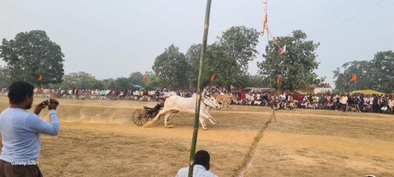 बैल जोडी पट प्रतियोगिता सम्पन्न सिवनी यशो:- बरघाट जनपद अन्तर्गत ग्राम पंचायत पौनार कला मे विशाल पट प्रति योगिता सम्पन्न हुई पट प्रति योगिता मे 261 बैल जोडीयो के साथ पट प्रतियोगिता दौड की शुरूआत हुई जो पौनारकला मे यह इतिहास भी बन गया की जिले तथा ब्लाक स्तर से 261 बैलजोडिया मैदान पर दौड़ाई गई जिसे देखने के लिये मैदान पर लगभग पचास हजार दर्शको की भारी भीड मैदान पर नजर आई और बैलजोडी की दौड का लुत्फ उठाया =1100 फिट के मैदान को किया 25 सेकंड 8 पाइंट मे किया पार = उल्लेखनीय है की जोड मालिक शोएब पटेल नान्दी की बैल जोडी ने पौनारकला के मैदान को 25 सेकंड 8 पॉइन्ट मे पार करते हुऐ प्रथम पुरूस्कार के रूप 21000 रूपये की राशि प्राप्त की है तथा इसी मैदान को शोएब पटेल के ही बैल जोडी ने 26 सेकंड मे पार करते हुऐ लगभग दितिय पुरूस्कार भी प्राप्त किया है =किसानो का रहा है विशेष शौक = उल्लेखनीय है की बैल जोडी पालन और इन्हे दौडाने का विशेष शौक जिले तथा छेत्र के किसानो का रहा है और यही कारण है यहा किसानो अपने दौड वाले बैलो का लालन पालन बच्चे की तरह करते है तथा पौष्टिक खाद्य पदार्थो का सेवन अपने बैलो को करवाते है यही नही बैलो को खारिज बादाम अंजीर के साथ शुद्ध दूध का सेवन करवाया जाता है ताकि उनके बैल मैदान मे दौड़कर अच्छी रेस का प्रदर्शन करते हुऐ पुरूस्कार भी जीते और यही कारण है जिले तथा छेत्र के दौडऩे वाले बैल की कीमत लाखो मे होती है बैल जोड दौड प्रतियोगिता को सम्पन्न कराने मे पौनारकला सरपंच छोटू पटेल मुना जी राहंगडाले दिलीप पटले रामकिशन इनवाती मानसिह लेखराम हरिनखेडे डा राजू कटरे बाबूलाल टेमरे एवं ग्रामीणो का विशेश सहयोग रहा है