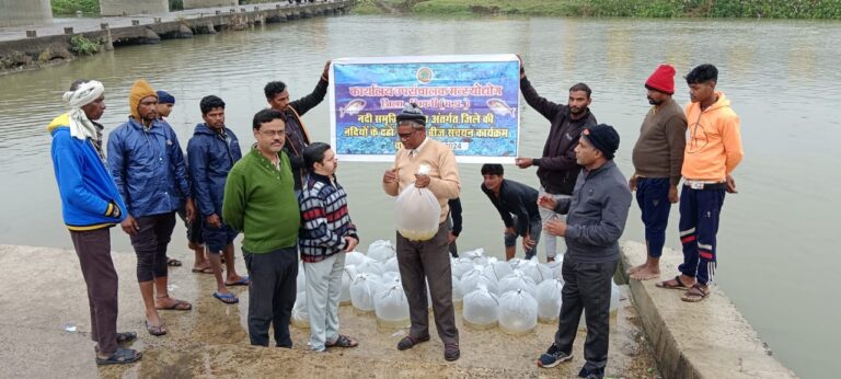 नदीय संपदा योजना अंतर्गत जनहित में तीन लाख मत्स्य बीज छोड़े गए केवलारी यशो:- नगर के आस पास बह रही बैनगंगा सागर नदी में मछली के लगभग तीन लाख बीज छोड़े गए। ढीमर समाज के संजय सिंगराहा जो कि हमेशा सामाजिक उत्थान संबंधी कार्यों में हमेशा अग्रसर रहते हैं उन्होंने बताया कि नदीय संपदा योजना अंतर्गत मत्स्य बीज संचयन किया गया , इस कार्यक्रम में नगर के युवा पार्षद भाई प्रशांत तिवारी उर्फ मोनू , कमलसिंह ठाकुर , अमित तिवारी , पार्षदपति सेवकराम साहू , राघव दिवेदी , रफीक खान सहित अन्य सामाजिक कार्यकर्ता उपस्थित थे। विगत कुछ वर्षों से संजय सिंगराहा अध्यक्ष ढीमर समाज विधान सभा क्षेत्र केवलारी के अथक प्रयासों से ऐसे सामाजिकहित के कार्य किए जाते हैं ।जिससे मछुआ ढीमर समाज का केवलारी विधान सभा क्षेत्र में निवासरत वनसानुगत मछुआरों को रोजगार मिल रहा है संजय सिंगराहा ने बताया कि जिला उपसंचालक के. एल. मरावी के मार्गदर्शन में यह कार्यक्रम आयोजित किया गया ।इस कार्यक्रम में विभागीय अधिकारियों में मुकुंदराव बांसोडकर सहायक मत्स्य अधिकारी केवलारी , रजनीश कुशराम मत्स्य बीज प्रक्षेप जेवनारा इनकी उपस्थिति में कार्यक्रम संपन्न हुआ। प्रक्षेप अधिकारी रजनीश कुशराम ने बताया कि आज दिनांक 06/12/23 को जिला मत्स्युद्योग सिवनी के अंतर्गत केवलारी विकास खंड क्षेत्र में मत्स्य बीज प्रक्षेप जेवनारा से नदीय संपदा अंतर्गत विभिन्न गहरे डहों जिसमे बैनगंगा नदी रिपटा घाट, रेल्वे क्रासिंग घाट, आकम घाट , मंदिर घाट कोहका , संगम घाट केवलारी , हिररी संगम घाट सरेखा , सागर नदी में धनागढ़ा घाट , केवट घाट , रामघाट , थांवर घाट में तीन लाख मछली बीज छोड़ा गया।