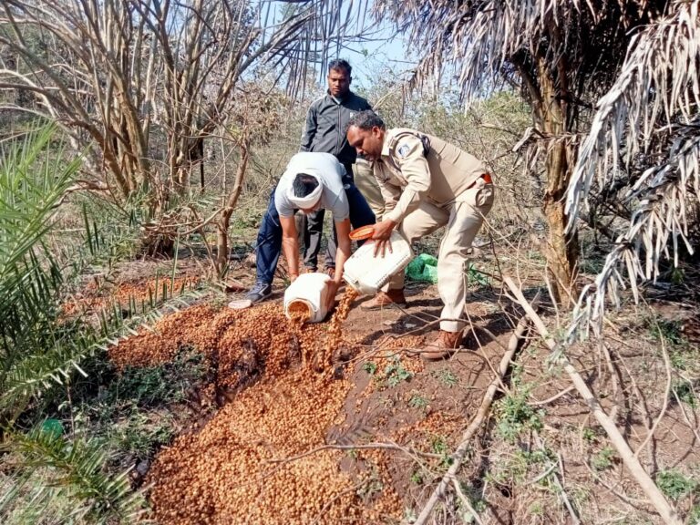 जंगल में बन रही थी शराब, पुलिस ने कार्यवाही जुँआ सट्टा एवं अवैध शराब पर पुलिस की ताबड़तोड़ कार्यवाही सिवनी यशो:- पुलिस अधीक्षक सिवनी के निर्देश अनुसार जिले थाना क्षेत्रों में अवैध शराब के निर्माण, विक्रय जुँआ सट्टा के विरूद्ध ताबड़तोड कार्यवाही की जा रही है । पुलिस से प्राप्त जानकारी अनुसार थाना डूंडासिवनी पुलिस द्वारा अवैध शराब निर्माण के विरूद्ध कार्यवाही करते हुये भुरकल खापा क्षेत्र में 1100 क्ँिवटल महुआ लाहन नष्टीकरण, शराब निर्माण की सामग्री का विनिष्टिकरण किया तो इसी थाना क्षेत्र में सेलवा के जंगल एंव नाला पर दबिश देकर लगभग 600 क्विंटल अबैध शराब महुआ लाहन नष्ट किया गया अवैध शराब बनाने वाले कारोबारी पुलिस को देखकर मौके से फरार हो गये । पुलिस अधीक्षक सिवनी राकेश सिंह व अतिरिक्त पुलिस अधीक्षक जी डी शर्मा द्वारा अवैध शराब बिक्री एवं निर्माण गतिविधियों पर नियंत्रण हेतु जारी शक्त निर्देशो के पालन में व अनुविभागीय पुलिस अधिकारी श्रीमती पूजा पाण्डे के मार्गदर्शन में लगातार अवैध कच्ची महुआ की शराब बिक्री पर नियंत्रण लगाने हेतु अवैध शराब निर्माण के अड्डो पर दबिश देकर भारी मात्रा में महुआ लाहन नष्ट किया गया अवैध शराब बनाने वाले कारोबारी पुलिस को देखकर मौके से फरार हो गये । डूंडासिवनी पुलिस द्वारा की गयी कार्यवाही में थाना प्रभारी डूंडासिवनी किशोर वामनकर के नेतृत्व मे उप. निरी. आर्पित भैरम, सउनि बालकृष्ण त्रिगाम, का. प्रआर. 450 मुकेश गोडाने, प्रआर 366 शेखर बघेल, आर. 403 रोहित रघुवंशी, आर. 140 कृष्णा भालेकर की भूमिका सराहनीय रही । धनौरा थाना क्षेत्र में जुँआ सट्टा एवं अवैध शराब के विरूद्ध कार्यवाही इसी प्रकार थाना धनौरा में आदर्श आचार संहिता के दौरान थाना धनौरा पुलिस द्वारा माईनर एक्ट की बड़ी कार्यवाही पुलिस अधीक्षक सिवनी राकेश कुमार सिंह (भापुसे) के आदेशानुसार एवं अतिरिक्त पुलिस अधीक्षक सिवनी जीडी शर्मा एवं श्रीमान एसडीओपी घंसौर सुश्री नम्रता सोंधिया के मार्गदर्शन में अवैध जुआ, सट्टा एवं शराब रखने व बेचने वालो पर अंकुश लगाने हेतु लगातार पुलिस थाना धनौरा द्वारा कार्यवाही की जा रही है दिनांक 21/03/2024 को थाना धनौरा चौकी सुनवारा मे पुलिस को मुखबीर की सूचना पर ग्राम खेडा में अवैध रूप से शराब बेचने की सूचना मिलने पर रेड कार्यवाही की गयी जिसमे आरोपिया देवीबाई पति चंद्रकिशोर अडमाचे उम्र 30 साल निवासी ग्राम सुनवारा खेड़ा के कब्जे से 10 लीटर हाथ कच्ची महुआ शराब जप्तकर अपराध क्रं. 85/24 धारा 34 ए आबकारी एक्ट का पंजीबद्ध कर विवेचना मे लिया गया। इसी प्रकार थाना धनौरा मे मुखबीर की सूचना मिलने पर ग्राम थांवरी कंचन मे रेड कार्यवाही की गयी जिसके दौरान अवैध रूप से सट्टा पट्टी लिखते पाये जाने पर आरोपी नीरज पिता परसराम भलावी उम्र 27 साल निवास ग्राम हर्रई के कब्जे से सट्टा पट्टी, पेन, कार्बन, एवं नगदी 460 रूपये जप्त किया जाकर अपराध क्रं. 86/24 धारा 4क सट्टा एक्ट का पंजीबद्ध कर विवेचना मे लिया गया। ग्राम हर्रई में अवैध रूप से जुआ खेलने की सूचना पर रेड कार्यवाही की गयी जिसके दौरान आरोपी गण (1) संतकुमार पिता देवसिंह कुमरे उम्र 40 साल निवासी थावंरी (2) उमेश पिता कलीराम मर्सकोले उम्र 25 साल निवासी हर्रई (3) अभिषेक पिता सुखचैन कुमरे उम्र 25 साल निवासी हर्रई (4) संतोष पिता रिन्दी भलावी उम्र 36 साल निवासी गाडाघाट (5) अजीत पिता अंतराम भलावी उम्र 23 साल निवासी हर्रई (6) दीनदयाल पिता विशालसिंह गुर्जर उम्र 48 साल निवासी सलेमा (7) मेहतू पिता गुलाब ककोडिया उम्र 50 साल निवासी भेडा (8) दिनेश पिता गनेश भलावी उम्र 40 साल निवासी हर्रई को पकडा गया जिनके पास से ताश के पत्ते एवं जुमला 5150 रुपये 04 नग मोबाईल जप्त कर विधिवत कार्यवाही कर अपराध क्र. 87/24 पंजीबद्ध कर विवेचना में लिया गया। ग्राम हर्रई में अवैध रूप से शराब बेचने की सूचना पर रेड कार्यवाही की धारा 13 जुआ एक्ट का गयी जिसके दौरान आरोपी संतकुमार पिता कलीराम सल्लाम उम्र 49 साल निवासी ग्राम हर्रई के कब्जे से अंग्रजी एवं देशी शराब के कुल 13 पाव 180 एमएल के तथा अंग्रेजी शराब के 07 निब 90 एमएल के कुल किमती 2260 रूपये के जप्त कर अपराध क्रं. 88/24 धारा 34 ए आबकारी एक्ट का पंजीबद्ध कर विवेचना मे लिया गया।