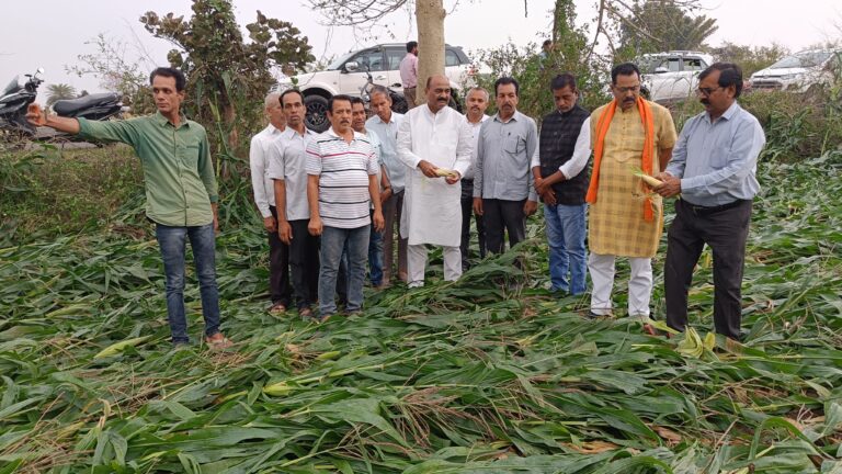 ओलावृष्टि से प्रभावित किसानों से मिले पूर्व विधायक राकेश पाल सिंह कहा सरकार और भाजपा आपके साथ है, नुकसानी की होगी भरपाई - राकेश पाल सिंह केवलारी यशो:- मंगलवार 19 मार्च को पूर्व विधायक राकेश पाल सिंह ने केवलारी विधानसभा क्षेत्र के ग्राम, मझगवा, देवरी, बिनेका, थावरी, बरेली, घटेरी, रावठान ,चिडी, सुकवाह, सुनवारा, खेड़ा, खिऱखिऱी, अमोली,अमानाला, तिघरा, रेपुरा, दोन्दावानी, नोनिया, बोरया, चारगांवा, हरदुली का दौरा कर ओलावृष्टि से हुई फसल नुकसानी का जायजा लिया । बतादें कि यहाँ गत 18 मार्च को जमकर अतिवृष्टि एंव ओलावृष्टि हुई थी । आलोवृष्टि से क्षतिग्रस्त पीडि़त किसान भाइयों से पूर्व विधायक राकेश पाल सिंह ने मुलाकात कर उनकी पीडा सुन उन्हें भरोसा दिलाया कि सरकार आपके साथ है निराश होने की आवश्यकता नहीं है । किसानों के खेतो में पहुँचकर उनकी फसलों का जायजा लिया। केवलारी विधायक राकेश पाल सिंह ने दूरभाष के माध्यम से राजस्व विभाग के तहसीलदार एंव अधिकारीयो से बात कर जल्द ही किसान भाइयों की फसलों का सर्वे उचित मुआवजा दिये जाने की कार्यवाही सुनिश्चित करने की बात कही । श्री पाल ने कहा कि किसी भी किसान भाई के साथ किसी भी प्रकार की समस्या नहीं आने दूँगा। भारतीय जनता पार्टी के मुख्यमंत्री और पूरी सरकार किसानों के साथ है इस आपदा के समय पूरी राहत दी जायेगी । किसान भाई अपने खेतों में खून पसीना बहाते हैं, तब फसल पैदा होती है । इस प्रकार की प्राकृतिक आपदा आना किसान भाइयों के लिए बहुत मुश्किल एंव कठिन समय हैं। मैं अपने किसान भाइयों के साथ खड़ा हूँ। हमारे मुख्यमंत्री डॉ मोहन यादव जी किसान भाइयों के साथ हैं। पूर्व विधायक राकेश पाल सिंह के साथ इस अवसर पर भारतीय जनता पार्टी के जिला उपाध्यक्ष नवल श्रीवास्तव, जसवंत बघेल, संतकुमार राय, रामरंजन बघेल, अशोक चंद्रवंशी, मंडल अध्यक्ष धनोरा सुजीत मिश्रा,हरिश्चंद्र चंद्रवंशी, रविंद्र तिवारी, जय मिश्रा, नीलेश जैन, मंडल अध्यक्ष छपारा पंकज जोलदेव,स्वर्णिम साहू,मंडल अध्यक्ष युवा मोर्चा धनोरा विनय राय मोनू,प्रह्लाद राय,सुजीत राय,सतीश राय,कैलाश राय, रामगोपाल राय,सुजान बघेल एवं ग्रामीण जनों,किसान भाइयों की उपस्थिति रहीं।