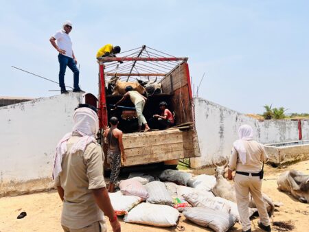 कोतवाली पुलिस का गौवंश तस्करों बड़ी कार्यवाही, एक दिन में दो ट्रको से 81 मवेशी जप्त सिवनी यशो:- सिवनी कोतवाली पुलिस द्वारा गौवंश की अवैध तस्करी करते हुये बड़ी कार्यवाही की गयी है। कोतवाली पुलिस ने मुखबिर से प्राप्त सूचना के आधार पर लखनादौन की ओर से आ रहे दो 14 चक्का ट्रको में क्र्रूरतापूर्वक भरे हुये गौवंश को पकडऩे में बड़ी सफलता हासिल की है । जिला पुलिस अधीक्षक राकेश कुमार सिंह गौवंश तस्करी व अवैध परिवहन पर न केवल संवेदनशील है अपितु गौवंश तस्करो पर लगातार सख्ती से कार्यवाही हेतु निर्देशित किया जाता रहा है । जिले के अनेक थाना क्षेत्रों में गौवंश की तस्करी को रोकने के लिये निरंतर कार्यवाही हो रही है । इसी क्रम में अतिरिक्त पुलिस अधीक्षक गुरूदत्त शर्मा एवं श्रीमान अनुविभागीय अधिकारी (पुलिस) श्रीमती पूजा पाण्डेय के मार्गदर्शन में कोतवाली थाना प्रभारी सतीश तिवारी के नेतृत्व में कोतवाली टीम के द्वारा दिनांक 27/05/24 को दो 14 चक्का ट्रक वाहनो से 81 मवेशी जप्त किये है जिनमें से 06 मवेशी मृत स्थिति में पाये गये । 27 मई को मुखबिर सूचना प्राप्त हुई कि गौवंश तस्करो द्वारा मवेशियो को लोड कर कत्ल खाना नागपुर ले जाने हेतु लखनादौन तरफ से सिवनी से निकलते हुये नागपुर ले जाने की सूचना योजना है । पुलिस कोतवाली के स्टाफ ने छिन्दवाडा ब्रिज के उपर जाम लगाकर घेराबंदी की गोवंश की तस्करी कर रहे ट्रक के चालको ने पुलिस को देख भागने का प्रयास किया । परंतु पुलिस के जवानों ने उनका पीछा कर आगे पीछे जाम लगाकर करते हुए दो ट्रक वाहनो से अलग अलग 81 मवेशी जप्त की गई । जिसमें 06 मवेशी मृत हो गई एवं 75 मवेशियो को मुक्त कराकर खंूट गोकुल धाम गौशाला बरघाट में सुरक्षित रखवाकर चारा पानी की व्यवस्था कराई गई । जप्त शुदा संपत्ति - 01. ट्रक क्रमांक एम.एच. 40 सीडी 1619 (14 चक्क ट्रक) कीमती करीबन 15 लाख 02. ट्रक क्रमांक. सी. जी. 07 सीबी 0717 (14 चक्क ट्रक) कीमती करीबन 15 लाख 03. 81 नग नाटा (75 जीवित + 06 मृत ) कीमत करीबन 10 लाख गिरफ्तार आरोपी - 01.साहिल पिता उमनलाल मुसलमान उम्र 17 साल निवासी नई बस्ती टेका नाका 02. जुनैद पिता हसन अली खान उम्र 18 साल 04 माह निवासी चैनपुरा जिला दमोह 03. सद्दाम पिता गुलाम रसूल उर्फ कल्लू खान उम्र 30 साल निवासी सुल्तानी मोहल्ला ग्राम कोटातला थाना दमोह देहात जिला दमोह 04. भगवत पिता देवा बंजारा उम्र 35 साल निवासी ग्राम बेलखेडी थाना आगासौर जिला सागर सराहनीय कार्य - निरीक्षक सतीश तिवारी, प्रआर सुंदर श्याम तिवारी, प्रआर कमलेश, आर नीतेश, आर धनराज, आर मुकेश चौरिया, आर सिद्वार्थ, आर शिशुपाल, आर रत्नेश, आर अजय, आर चालक ईरफान खान एवं 100 डायल चालक देवेन्द्र करयाम की महत्वपूर्ण भूमिका रही ।