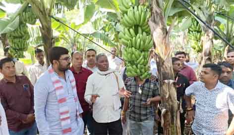 मोदी के आव्हान पर जैविक खेती की ओर बढता भारत: बंटी छिंदवाड़ा यशो:- सांसद विवेक बंटी साहू अमरवाड़ा विधानसभा के बटकाखापा क्षेत्र के किसान पुनाराम इनवाती के द्वारा मोदी के आव्हान पर की जा रही जैविक खेती को देखने पहुँचे सांसद के साथ विधायक कमलेश शाह एवं अन्य जनप्रतिनिधि उपस्थित थे। किसान ने सांसद को बताया कि जैविक खेती से उन्हें हर वर्ष लगभग 4 लाख रुपये की बचत की जा रही है उनके द्वारा सारी फसल जैविक रूप से तैयार की जा रही है । सांसद ने जैविक खेती करने पर किसान की प्रशंसा की। सांसद बंटी विवेक साहू ने सभी किसानों से आग्रह किया कि प्रधानमंत्री नरेंद्र मोदी के आव्हान पर हर किसानों को जैविक खेती की ओर बढऩा चाहिए।जैविक खेती से न केवल किसानों को लाखों रुपए हर वर्ष की बचत हो रही है बल्कि जैविक अनाज और फल हमारे स्वास्थ्य के लिए भी लाभदायक है ।