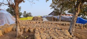 धान का परिवहन करने में परिवहन कर्ताओं की मनमानी - Seoni News