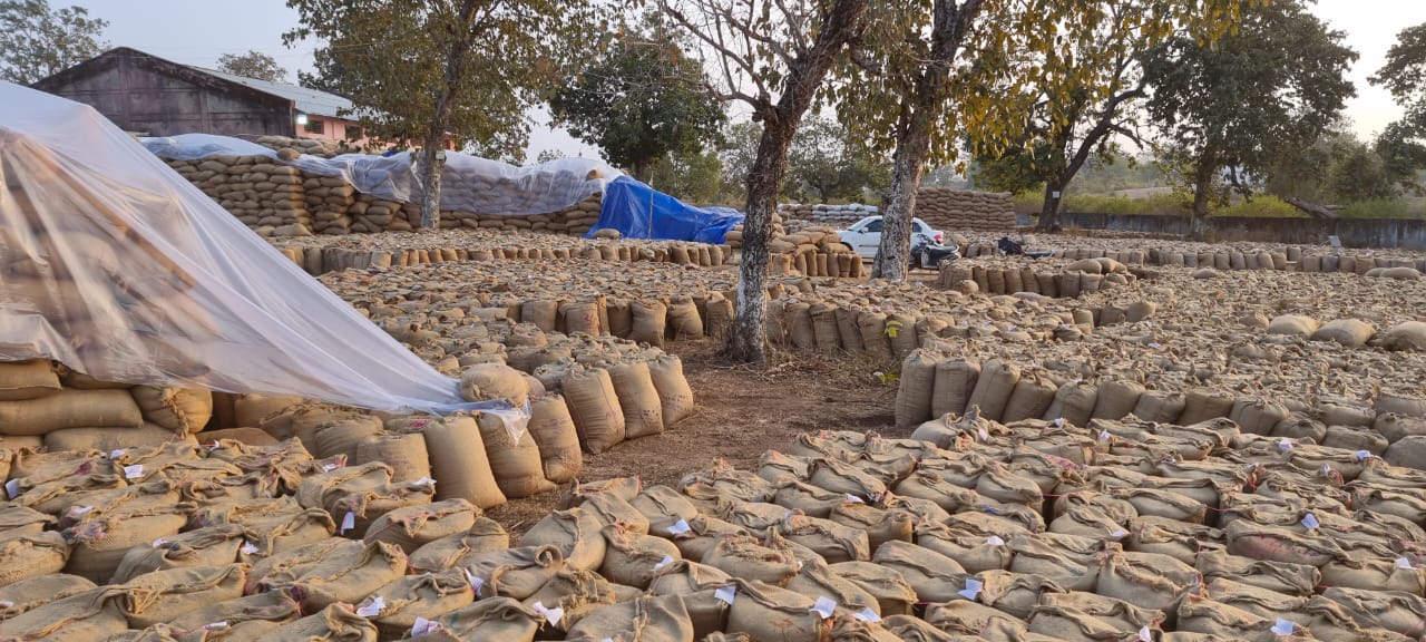 सिवनी यशो:- सिवनी धान खरीदी केन्द्र मे धान का परिवहन तथा धान का भंडारण गोदाम मे समय पर न होने से किसानो के खरीदी केन्द्रो मे तौल की गई धान के भुगतान मे लम्बा समय बीत रहा है वही दूसरी तरफ खरीदी केन्द्रो मे हजारो क्विंटल धान परिवहन के लिये पडी हुई है बरघाट विकास खंड मे यह भी स्थिति देखी जा रही है की कुछ खरीदी केन्द्र मे परिवहन के लिये लगातार ट्रको की आवक देखी जा रही है । वही दूसरी तरफ ऐसी भी केन्द्र है जहा आज की स्थिति मे पांच ट्रक भी परिवहन के लिये नही पहुचे है । ऐसी स्थिति मे राजनैतिक प्रभाव अथवा केन्द्रो के प्रभारी की सैटिग के आधार पर ही मिलर्स तथा परिवहन कर्ता ट्रक उपलब्ध करवा रहे है ।