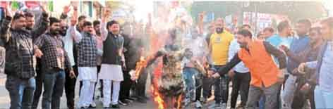 छिन्दवाड़ा यशो:- कांग्रेस द्वारा बाबासाहेब डा भीमराव अंबेडकर जी का लगातार अपमान किए जाने को लेकर एवं कांग्रेस सांसद राहुल गांधी द्वारा भाजपा सांसदों के साथ किए गए दुर्व्यवहार के विरोध में भाजपा नगर युवा मोर्चा अध्यक्ष बिटटू मँडराह एवं अनुज मल्होत्रा के नेतृत्व में बाबा साहब डा भीमराव अंबेडकर जी के प्रतिमा पर माल्यार्पण करने के पश्चात रैली के रूप में शहर के विभिन्न मार्गो से होकर फव्वारा चौक पहुंचे जहां नगर युवा मोर्चा द्वारा कांग्रेस संसद राहुल गांधी का पुतला जलाकर विरोध प्रदर्शन किया गया ।