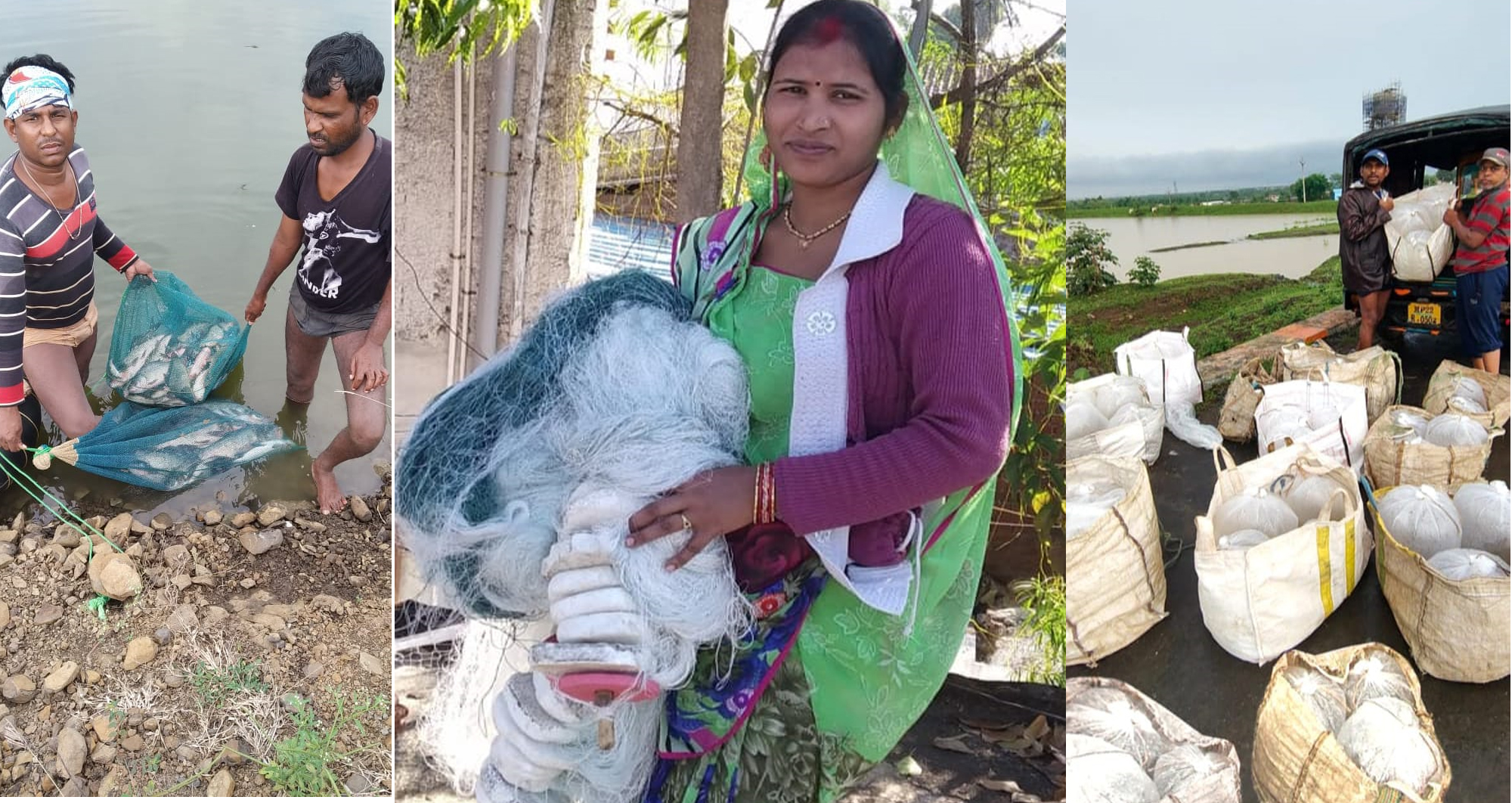 सिवनी यशो:- अवसर एवं प्रोत्साहन मिलने पर महिलाऐं व्यवसाय क्षेत्र में नया आयाम लिख सकती है। ऐसा ही उदाहरण सिवनी जिले के ग्राम घोटी की महिला मत्स्य कृषक श्रीमती आरती कश्यप का भी है। जिन्होंने मत्स्य पालन से जुडी विभिन्न शासकीय योजनाओं का लाभ लेकर मत्स्य पालन क्षेत्र में उत्कृष्ट कार्य कर अपनी अलग पहचान बनाई है। श्रीमती कश्यप अपने उत्कृष्ट कार्यों के लिए आत्मा योजना अंतर्गत सर्वोत्तम मत्स्य कृषक पुरूस्कार से सम्मानित हुईं हैं। उन्हें प्रोत्साहन स्वरूप एक लाख रूपये की राशि भी प्राप्त हुई है।