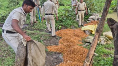 सिवनी में आबकारी विभाग ने 01 अगस्त 2025 को अवैध शराब के विरुद्ध छापेमारी