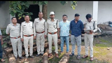 बरघाट बम्हनी गांव में वन विभाग द्वारा जब्त की गई अवैध सागौन की लकड़ी