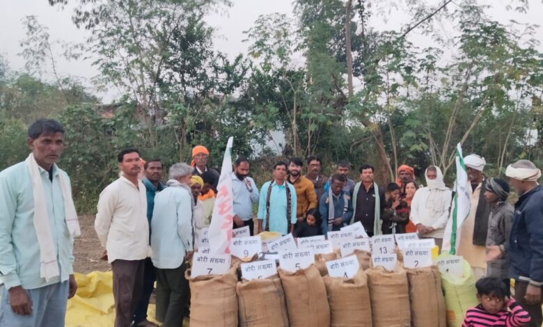 तहसील कुरई के ग्राम बादलपार में गुरुवार को पायोनियर कंपनी द्वारा फसल कटाई दिवस का आयोजन