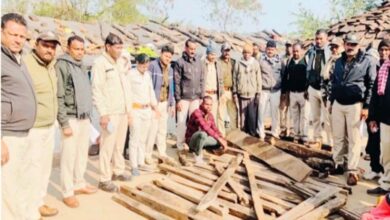 सिवनी वन विभाग ने चार स्थानों पर दबिश देकर 25 सागौन नग जब्त किए
