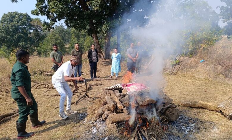 राष्ट्रीय राजमार्ग-44 पर अज्ञात वाहन की टक्कर से मादा तेंदुए की मौत, वन्यजीव सुरक्षा पर फिर सवाल