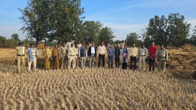 कुरई में पर्यटन विभाग की शासकीय भूमि से अतिक्रमण हटाने की कार्रवाई
