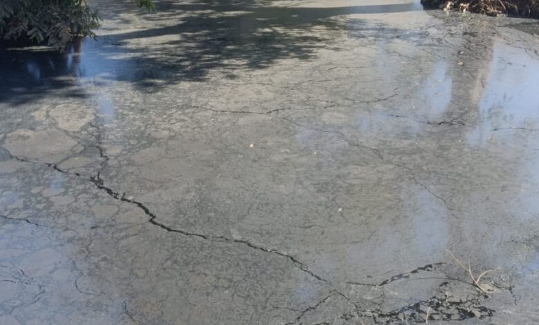 बैनगंगा नदी में औद्योगिक अपशिष्ट, एमपीएस फैक्ट्री गोपालगंज पर जांच के आदेश