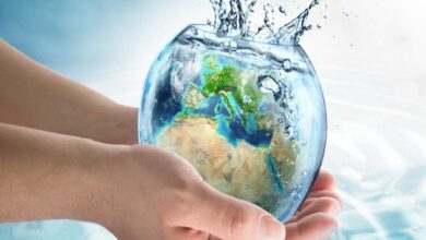 Seoni Jal Suraksha Jal Sanrakshan Jal Sunवाई Program 13 January 2026