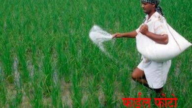 खाद संकट से जूझ रहे किसान, एमपी-किसान पोर्टल बना परेशानी का कारण