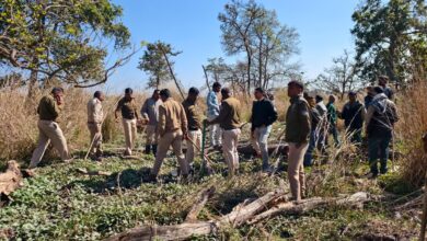 पेंच टाइगर रिजर्व कोर एरिया में बाघ हमले के बाद घटनास्थल का दृश्य