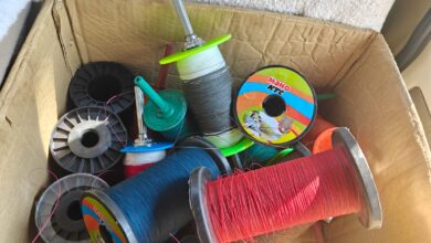 Seoni Chinese Manjha Seizure 31 Rolls Administration Action