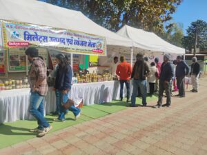 पेंच टुरिया गेट में आयोजित मिलेट्स एवं व्यंजन मेला, स्व-सहायता समूहों के स्टॉल और पर्यटक