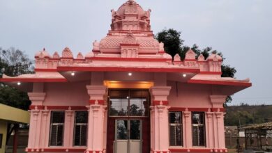 Dwarkadhish Radha Krishna Temple Pran Pratishtha Mahotsav procession preparation Seeladehi Seoni
