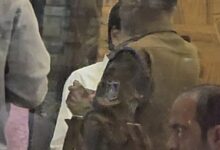 सिवनी जबलपुर चोरी कांड में सराफा बाजार की जांच करती पुलिस