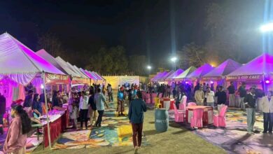 Mandla Millet Food Festival Police Ground stalls cultural program