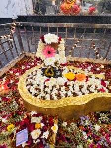 Mahashivratri celebration in Seoni with Lord Shiva Barat from Siddhapeeth Math