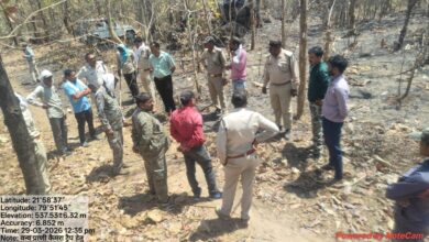 सिवनी बाघ सर्च ऑपरेशन - युवक पर हमले के बाद गांवों में दहशत का माहौल